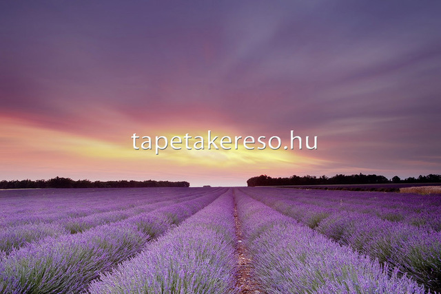 Thumb xxl wallpaper 2