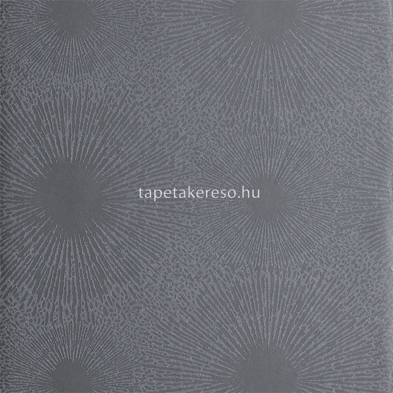 Anthology 01