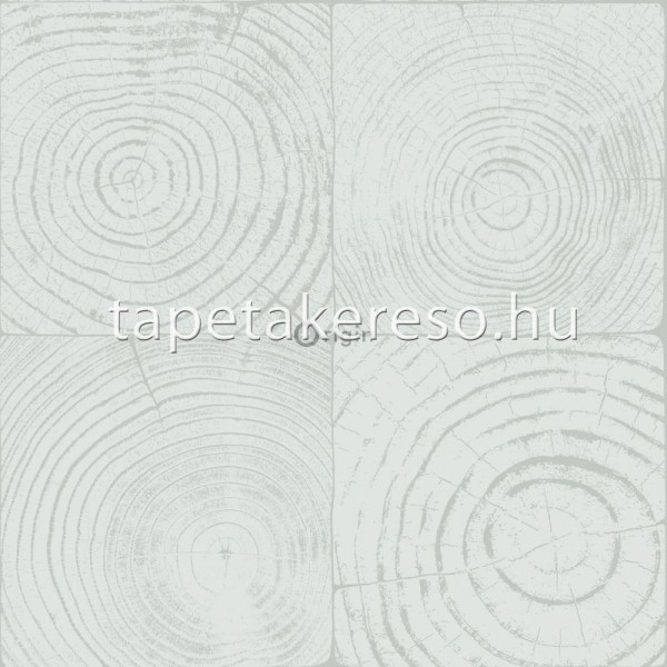 Matieres wood