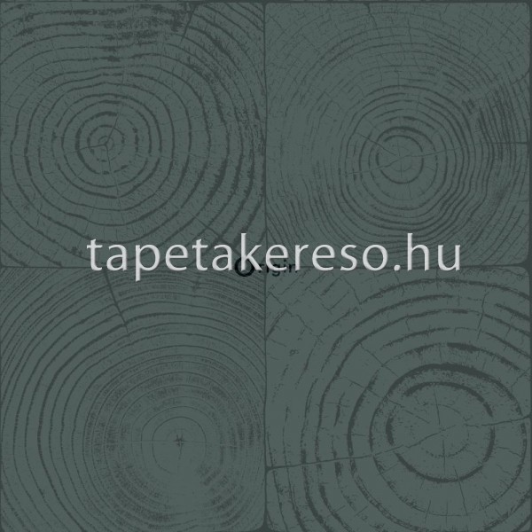 Matieres wood